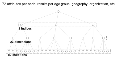 The structure of the survey